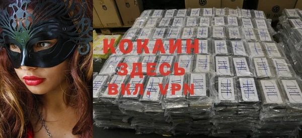 тгк Бородино
