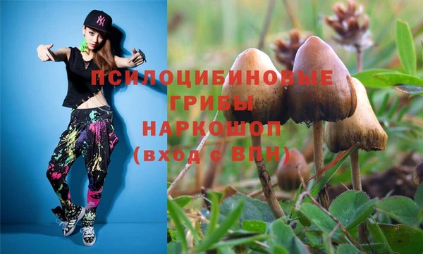 тгк Бородино