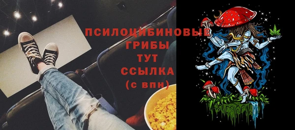 тгк Бородино