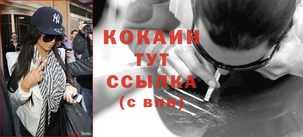 тгк Бородино
