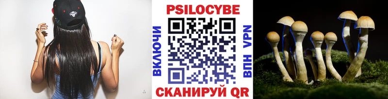 Псилоцибиновые грибы мицелий  Абакан 